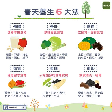 水果五行|巧用食物的五行養生